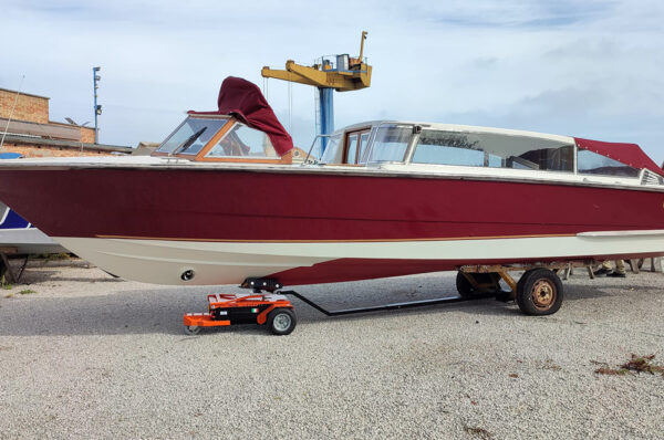 Lizard Q – Image 6