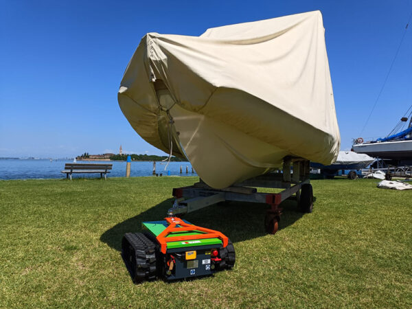 Lizard S – Image 4
