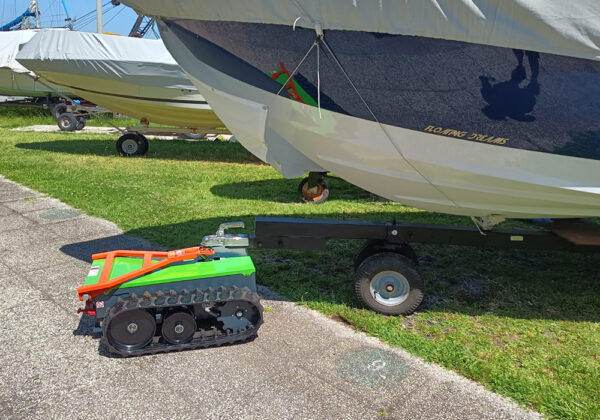 Lizard S – Image 5
